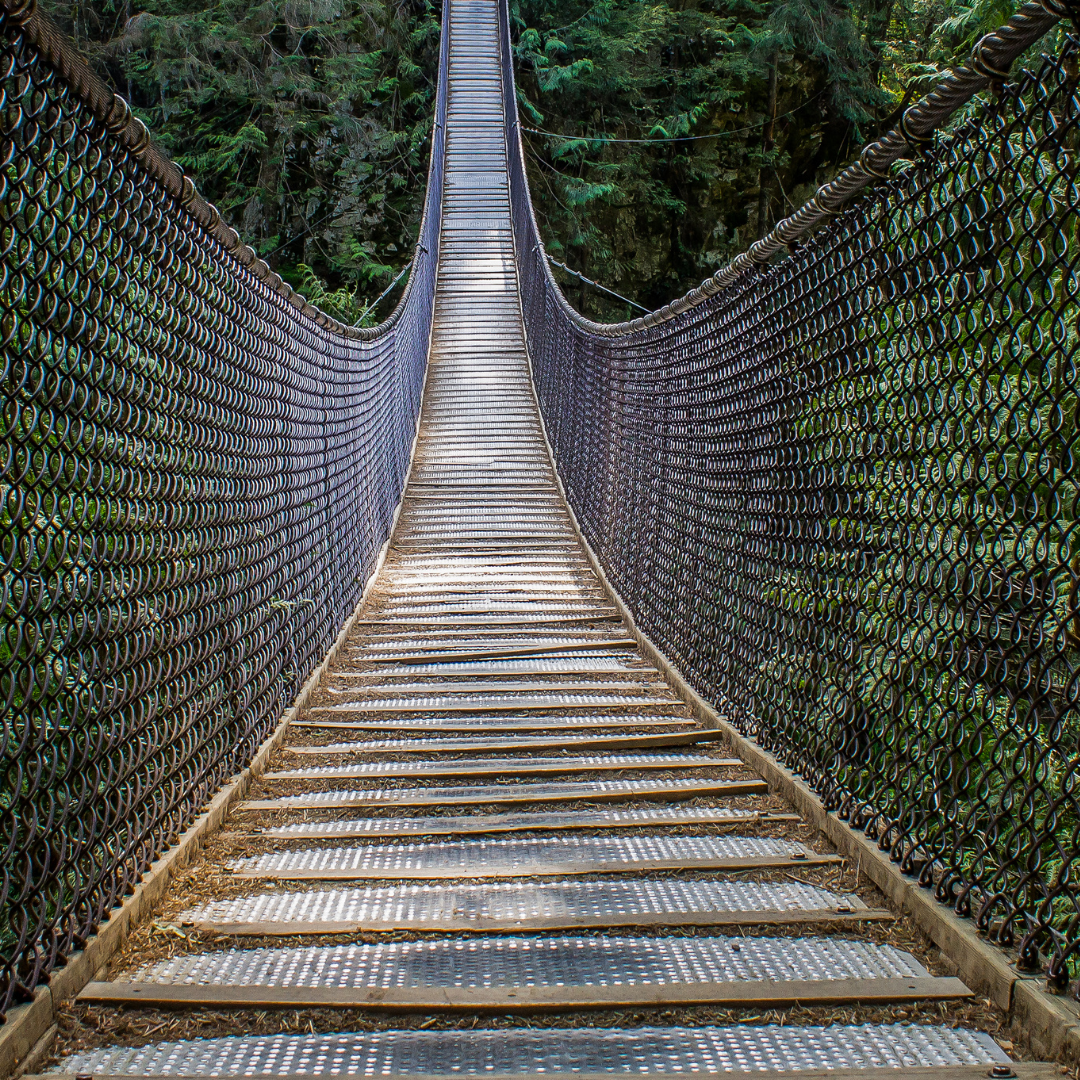 3 Things to Focus on to Reach Your Full Potential