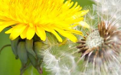 3 Steps to Personal Transformation